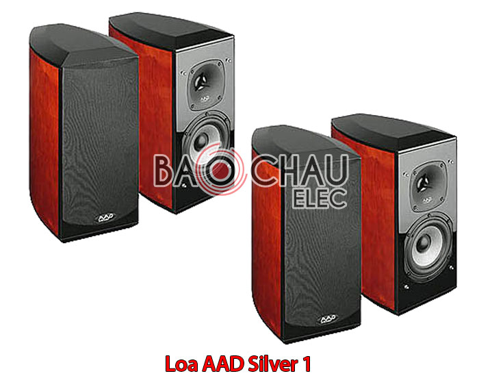 Loa-AAD-Silver-1 Loa-AAD-Silver-1