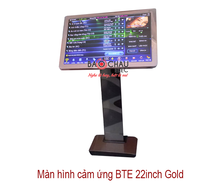 Man hinh BTE 22inch Man hinh BTE 22inch