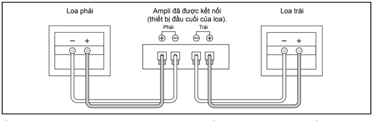 Cách kết nối loa BMB CSN-500 với amply