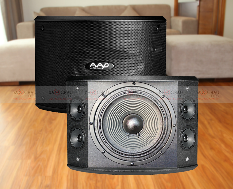 Loa AAD PRO 10 Loa AAD PRO 10