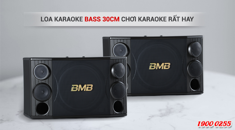 Loa BMB CSD-2000(SE) using Loa BMB CSD-2000(SE) using