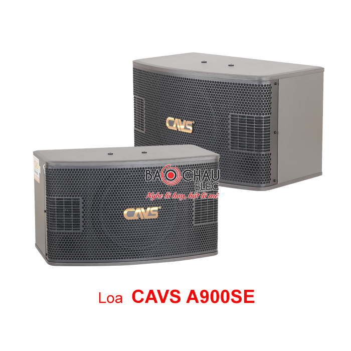 Loa CAVS A900SE Loa CAVS A900SE