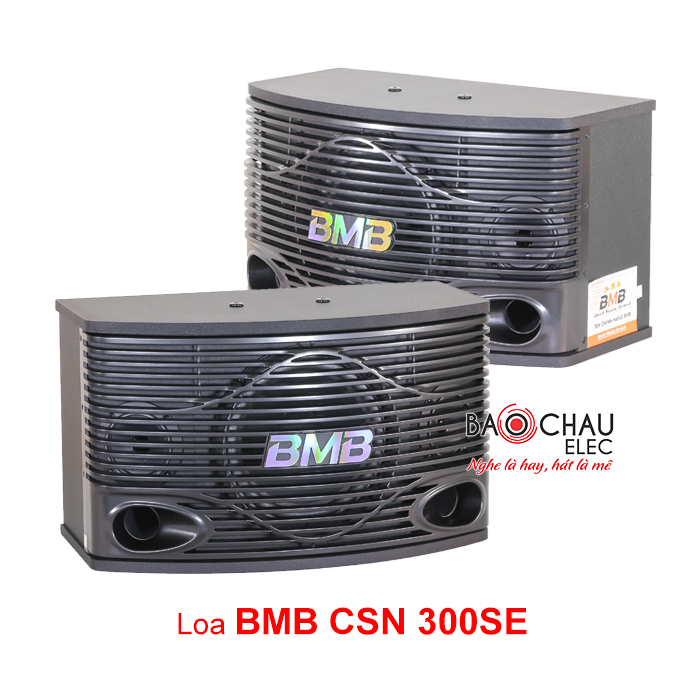 Loa CSN 300SE Loa CSN 300SE