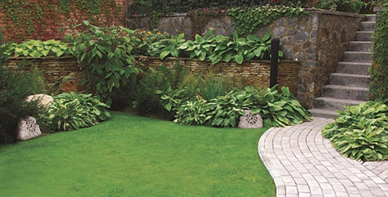 Loa Jamo Rock 6.3A trong thực tế Loa Jamo Rock 6.3A trong thực tế